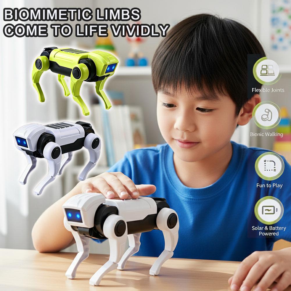 Zestaw do samodzielnego montaż – Diy Robot Electronics Kit recenzja i cena